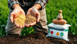 Fertilizers & Seeds